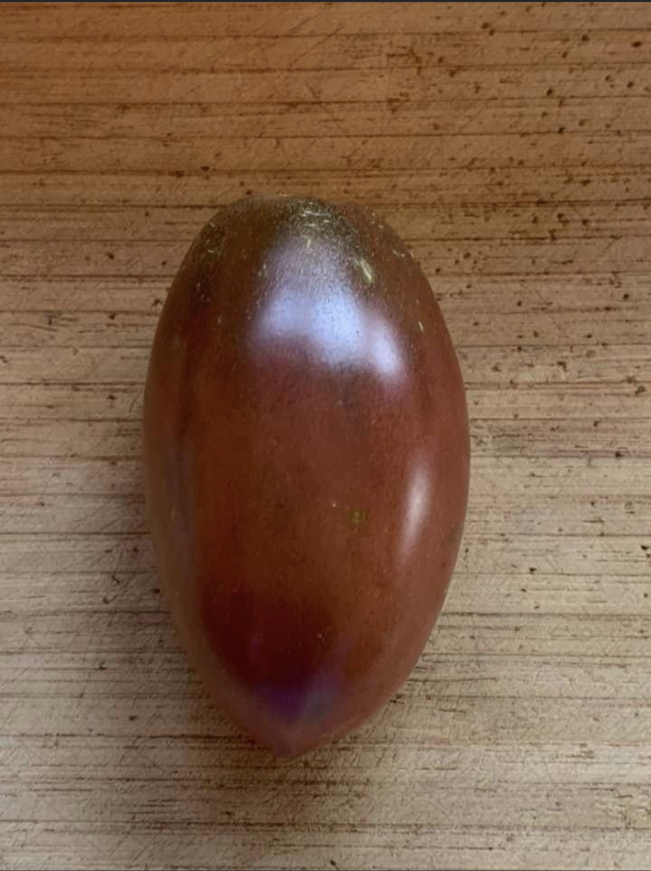 Ukrainian Purple Tomato seeds Heirloom Tim's Tomatoes