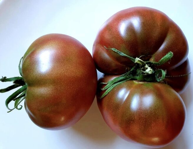 Black From Tula - Black Heirloom Tomato Seeds