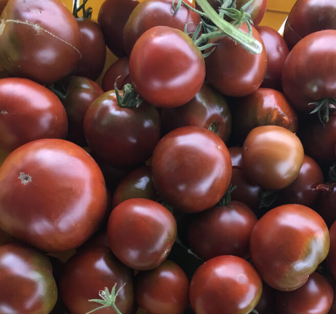 Black Prince Tomato Seeds