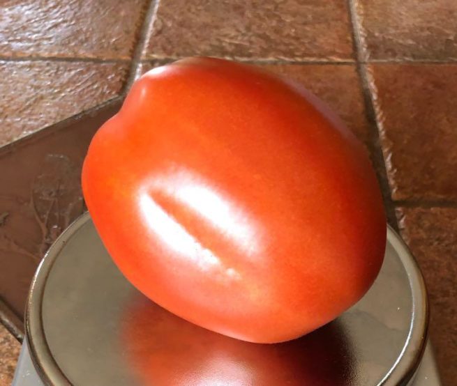 Cipolla Pride Heirloom Tomato Seeds Organic Sauce Italian Paste Tomato Canning Processing rare variety vegetable