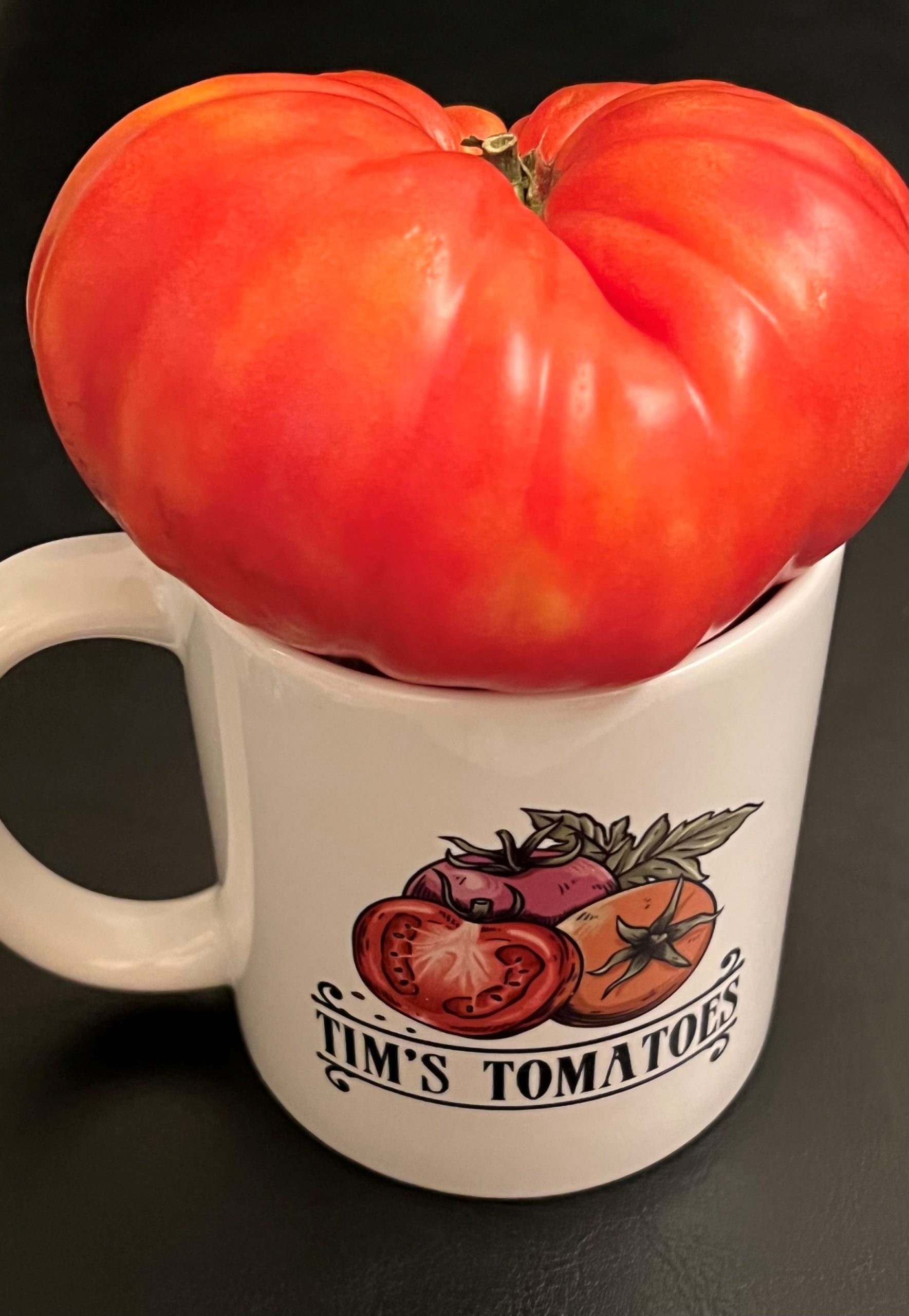 Tomato Amish Beefsteak Pink – Inherited Seeds