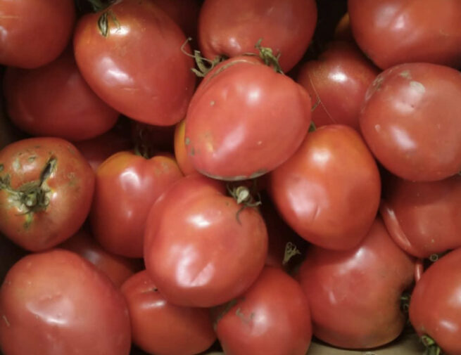 Amish Paste Tomato | Heirloom Tomato Seeds