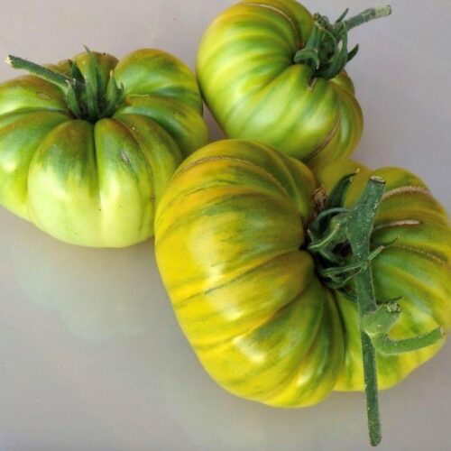Aunt Ruby's German Green Tomato - Rare Heirloom Tomato