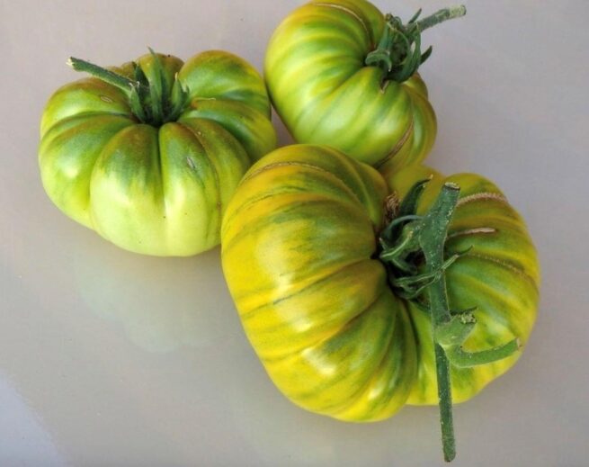 Aunt Ruby's German Green Tomato - Rare Heirloom Tomato