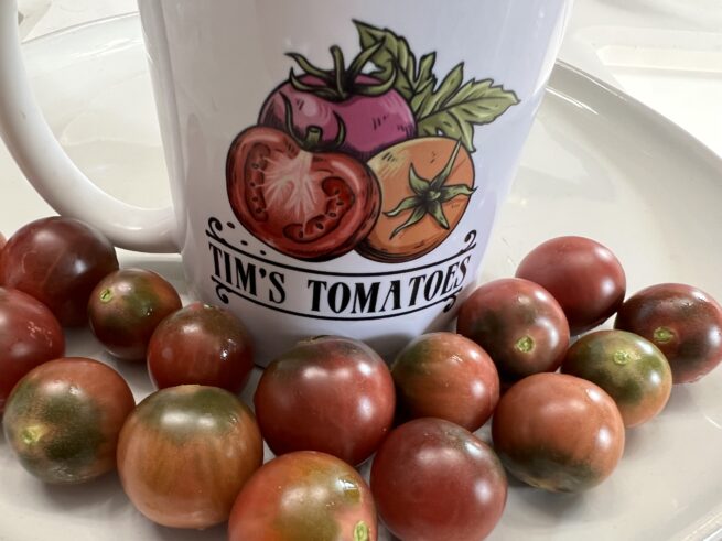 Black Cherry Tomato - Tim's Tomatoes - Heirloom Tomato Seeds