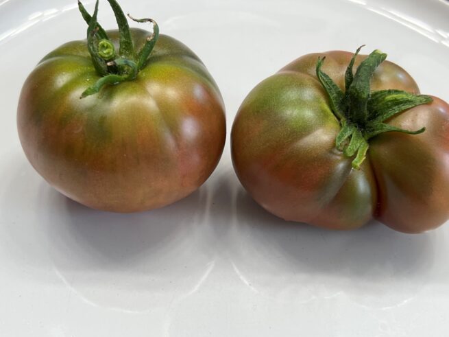 Black Krim Tomato _ Heirloom Tomato Seeds