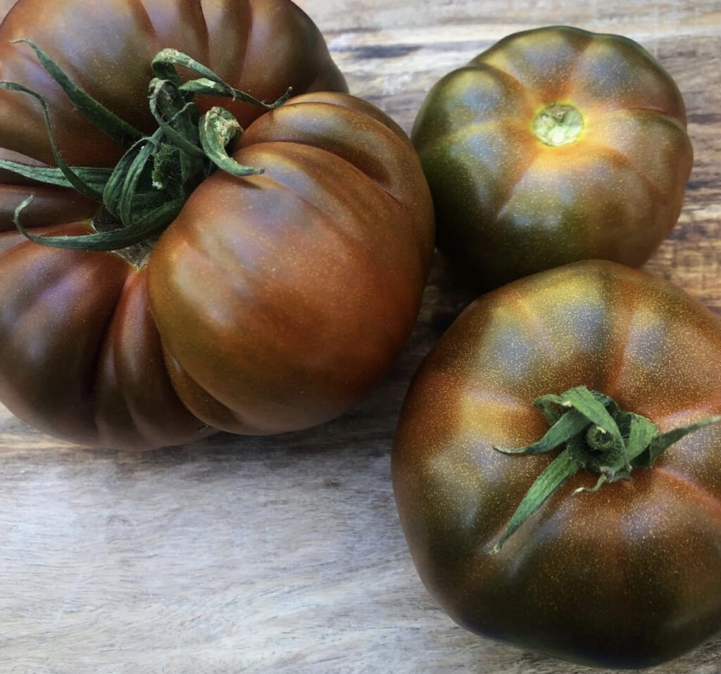 Black Russian Tomato Seeds | Heirloom | Tim's Tomatoes