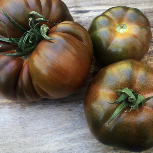 Black Russian Tomato Seeds | Heirloom | Organic