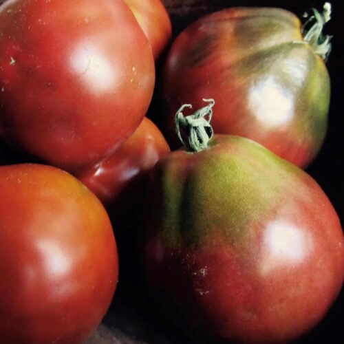 Black Truffle Tomato Seeds | Heirloom | Organic | Japanese Trufele Tomato | Black tomatoes | Rare vegetable varieties