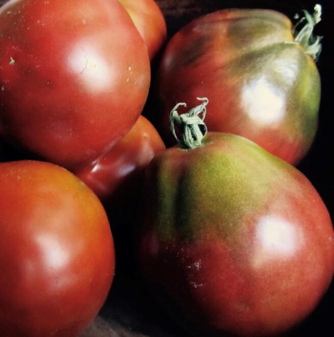 Black Truffle Tomato Seeds | Heirloom | Organic | Japanese Trufele Tomato | Black tomatoes | Rare vegetable varieties