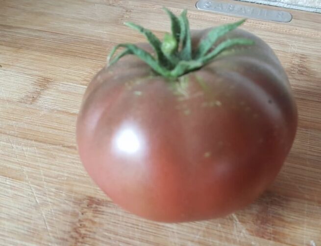 Carbon Tomato - Heirloom Black Tomato
