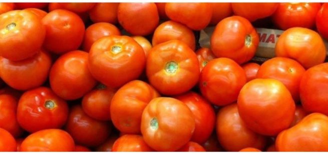 Caribe Tomato Seeds | Heirloom