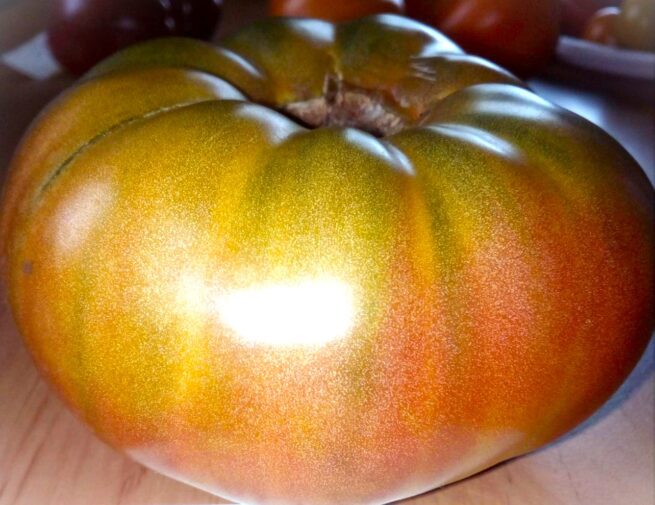 Captain Lucky Tomato - Rare Green Tomato