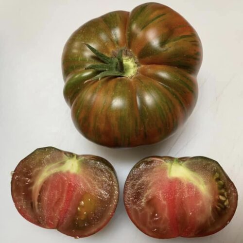 Chocolate Stripes Tomato Seeds Organic (Indeterminate/ 75-80 Days) Chocolate Stripes is an exotic variety that produces tons of large mahogany-colored tomatoes with metallic green striping.