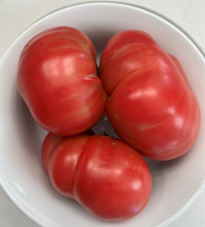 Dester Tomato - Heirloom Tomato Seeds