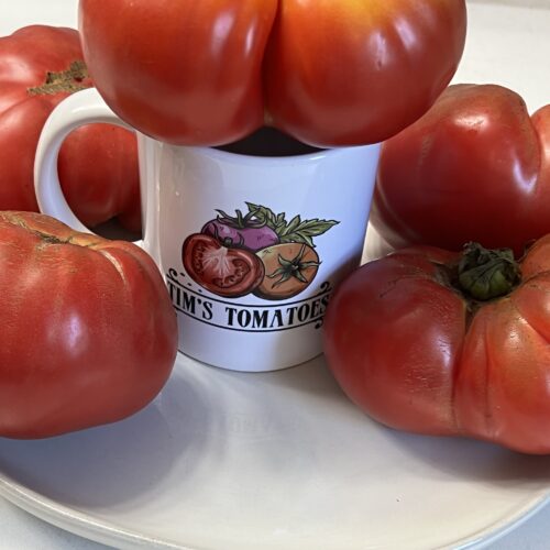 Dester Tomato - Heirloom Tomato Seeds