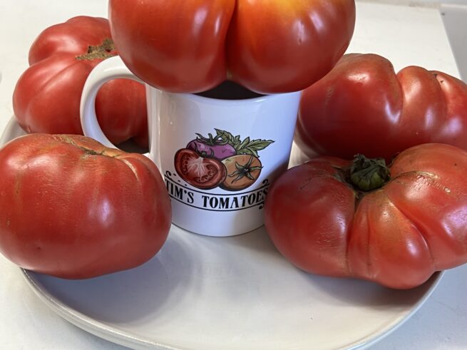 Dester Tomato - Heirloom Tomato Seeds