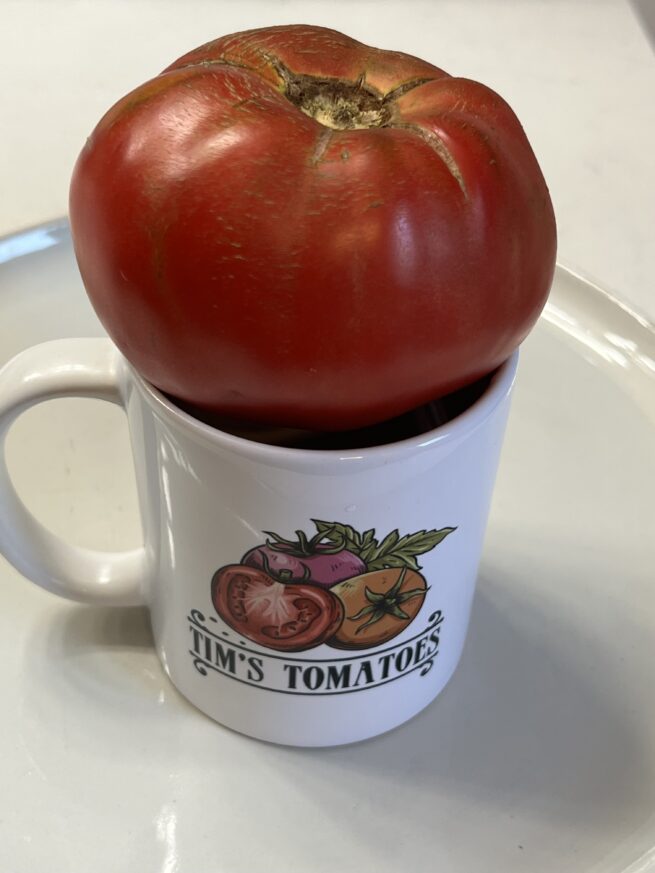 Dester Tomato - Heirloom Tomato Seeds