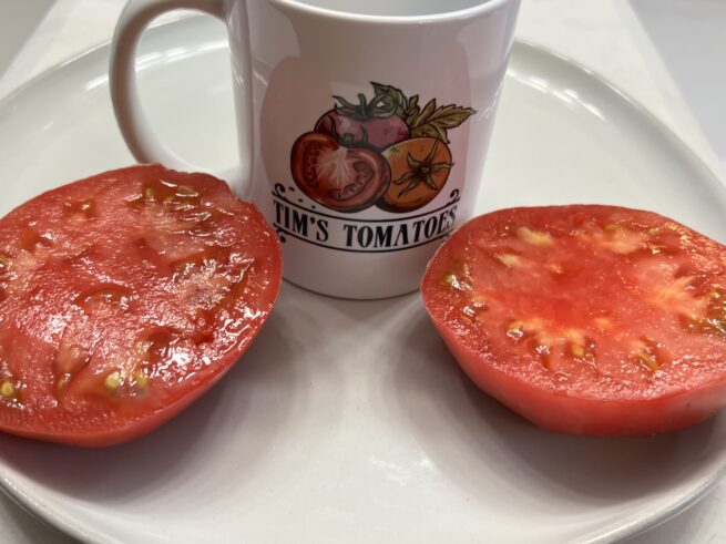 Dester Tomato - Heirloom Tomato Seeds