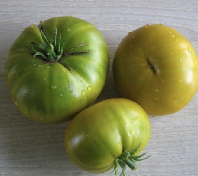 Green Giant Tomato Seeds | Heirloom