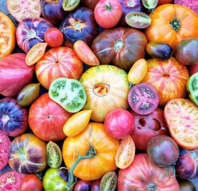 heirloom tomato mix seeds