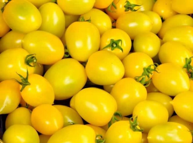 Yellow Plum Tomato Seeds | Heirloom