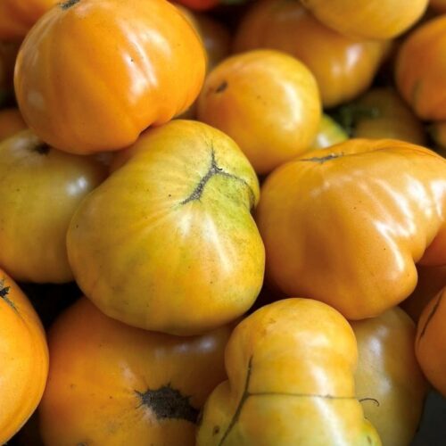 Kentucky Beefsteak Tomato Seeds | Heirloom