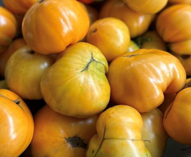 Kentucky Beefsteak Tomato Seeds | Heirloom