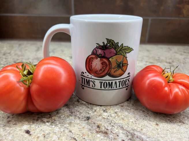 New Big Dwarf Tomato Seeds | Heirloom | Organic