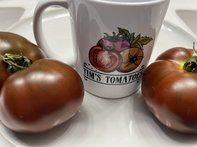 Paul Robeson Tomato - Heirloom Tomato Seeds - Organic _ Black Tomato