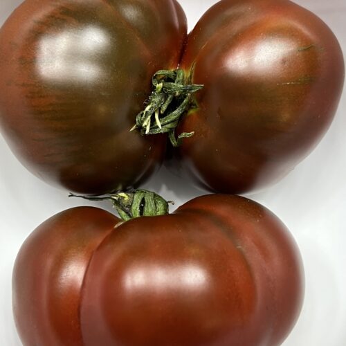 Paul Robeson Tomato - Heirloom Tomato Seeds - Organic _ Black Tomato