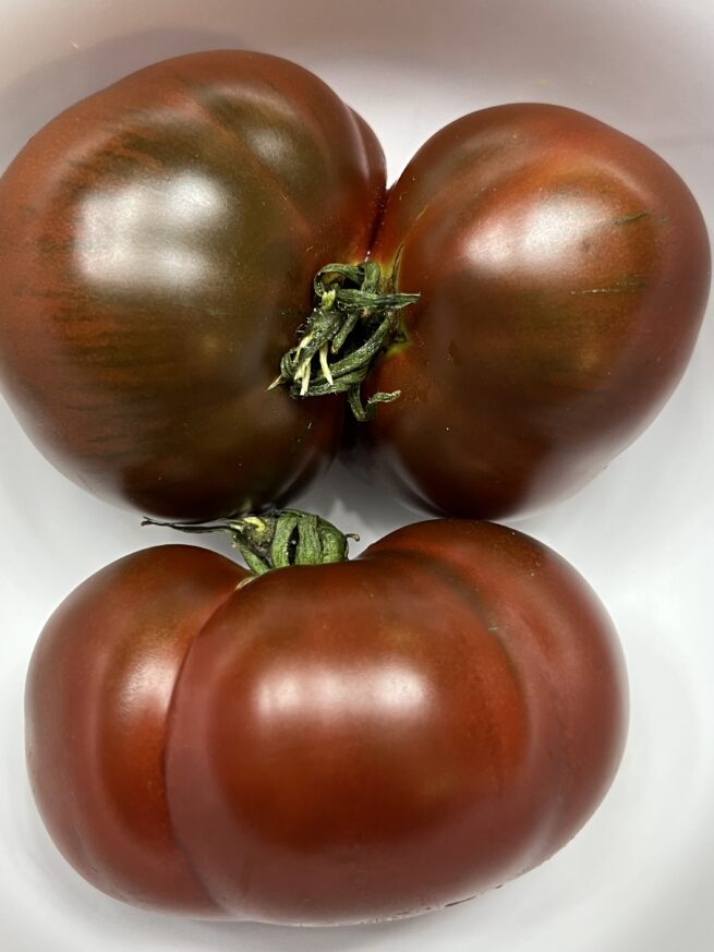 Paul Robeson Tomato - Heirloom Tomato Seeds - Organic _ Black Tomato