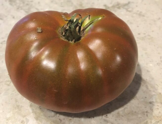 Paul Robeson Tomato - Heirloom Tomato Seeds - Organic _ Black Tomato