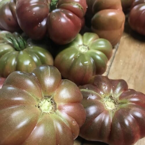 Purple Calabash Tomato Heirloom Variety Organic seeds Rare Purple Tomatoes