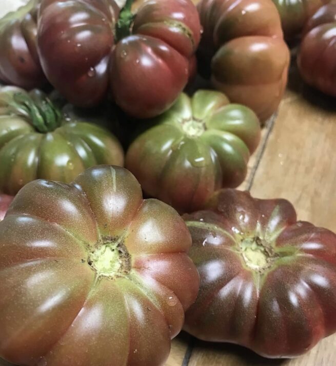 Purple Calabash Tomato Heirloom Variety Organic seeds Rare Purple Tomatoes