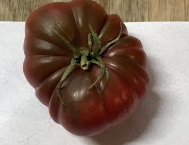 Purple Calabash Tomato Heirloom Variety Organic seeds Rare Purple Tomatoes