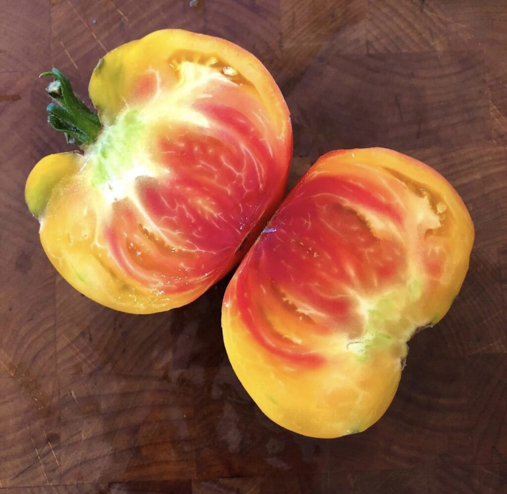 Striped German Tomato Heirloom Organic Tims Tomatoes