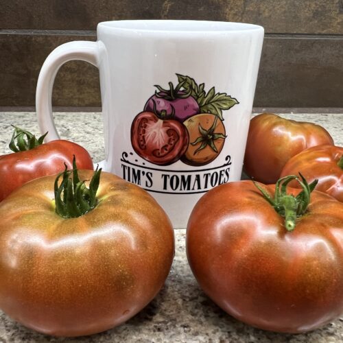 Tasmanian Chocolate Tomato | Heirloom | Organic