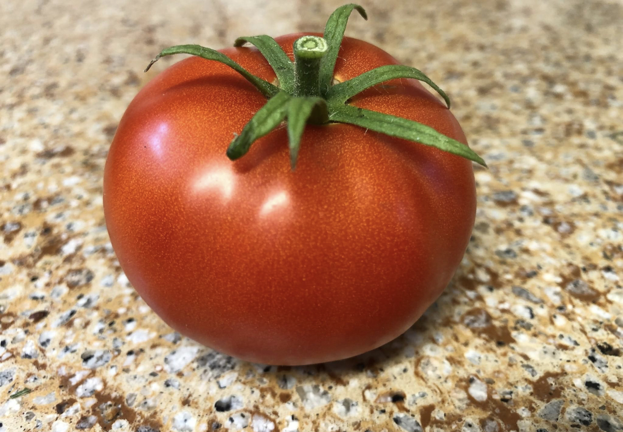 Medium Slicer Tomato Seeds