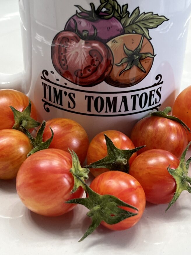 Tropical Sunset Tomato Seeds