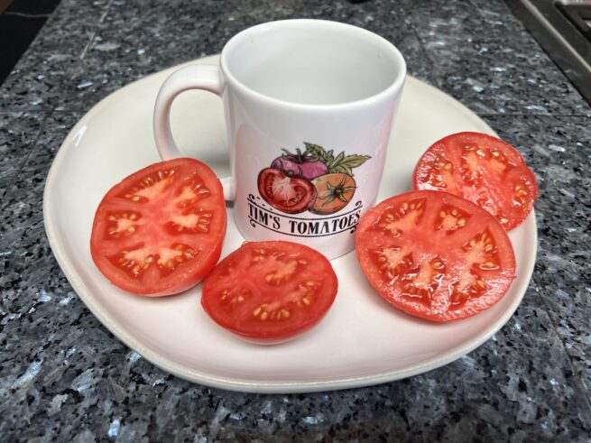 Clear Pink Tomato - Heirloom Tomato Seeds