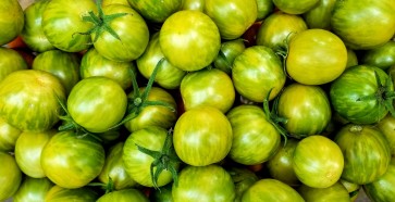 Green Bumble Bee Tomato Seeds