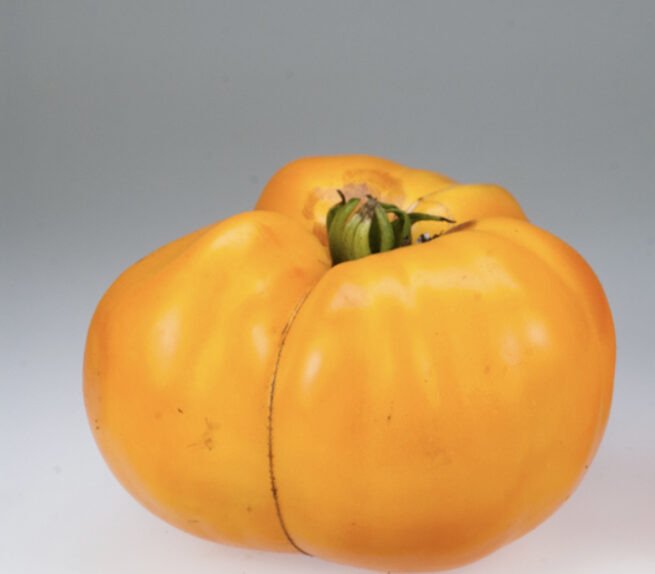 Orange King Tomato Seeds