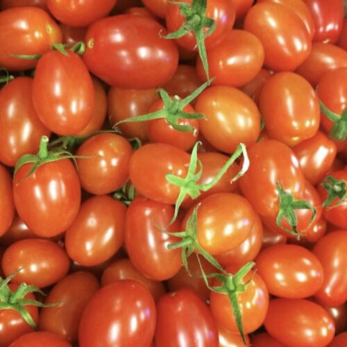Baby Roma Tomato - Tim's Tomatoes