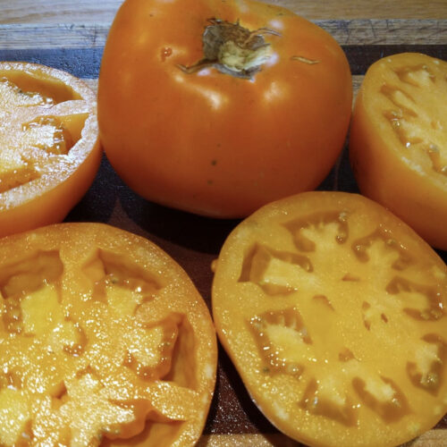 Amish Gold Tomato - Heirloom Tomato Seeds
