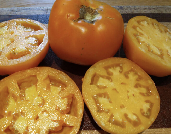 Amish Gold Tomato - Heirloom Tomato Seeds