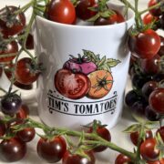 Blue Berries Tomato Seeds | Organic