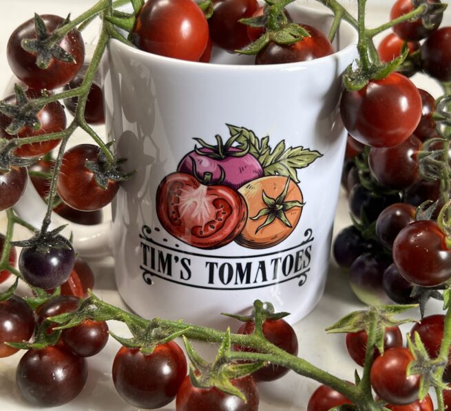 Blue Berries Tomato Seeds | Organic | Rare Variety | Indigo | Antho | Purple Blue Cherry Tomatoes | Vegetable Seed