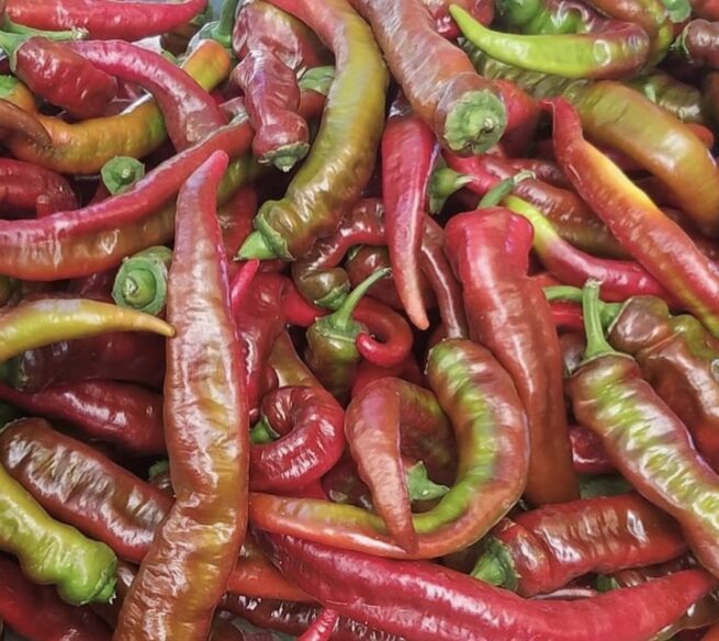 Jimmy Nardello's Pepper Seeds | Sweet | Heirloom | Organic