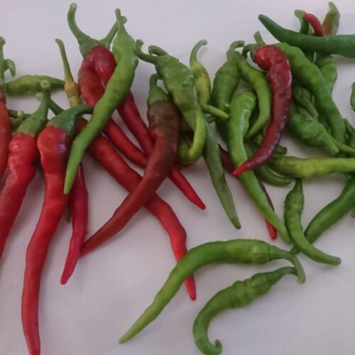 Long Red Thin Cayenne Pepper Seeds | Hot | Heirloom | Organic